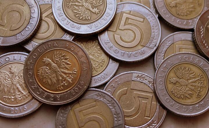 Złoty nie może znaleźć argumentów do umocnienia kursu / autor: Pixabay
