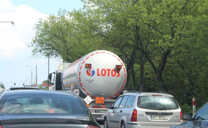 Lotos / autor: fot. Fratria