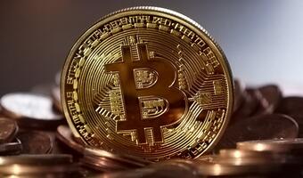 Posiadacze kryptowalut to w większości osoby prywatne
