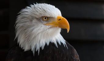 Prezydent USA przed Rosją nie mięknie