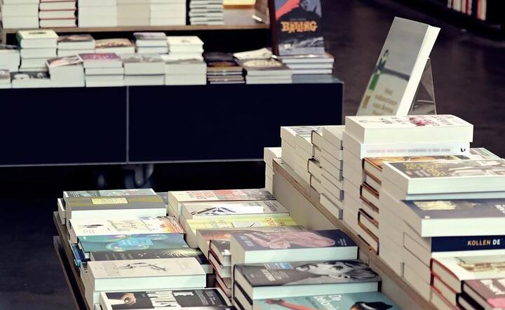'Myślę, że ktoś bardzo aktywny i popularny może zarobić przy obecnych stawkach nawet do kilkudziesięciu tysięcy rocznie' / autor: fot. Pixabay