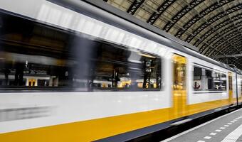 Imigranci wyrzuceni z pociągu! Zasłużyli