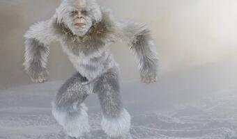 "Yeti" jako ochroniarz