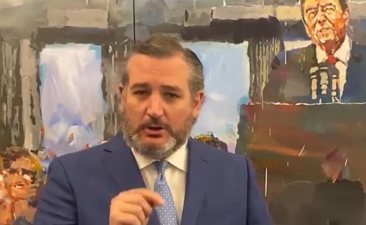 Senator Ted Cruz / autor: Materiały prasowe