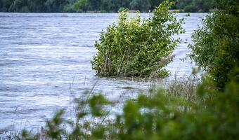 Oferty w przetargu na dokończenie zbiornika Racibórz Dolny - do 27 lipca