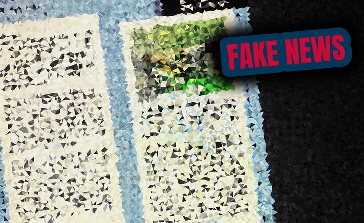 Fake news / autor: Pixabay