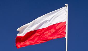 W tej branży wyprzedziliśmy Niemców i jesteśmy największym eksporterem w Europie!
