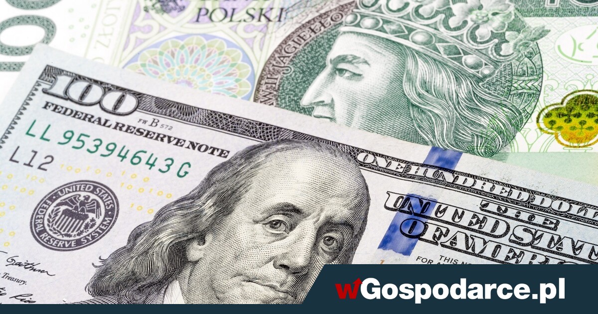 Złoty przygnieciony dominacją dolara