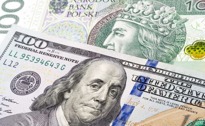 Złoty ulega dziś zewnętrznej presji i traci na rynku walutowym, kurs przebija 3,83 zł za dolara / autor: Fratria / AS