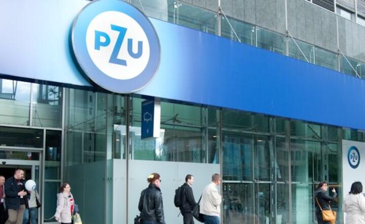 Źródło: PZU