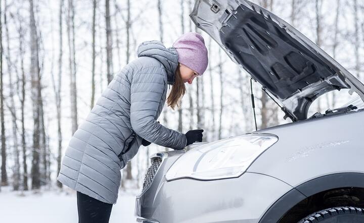 autor: Shutterstock