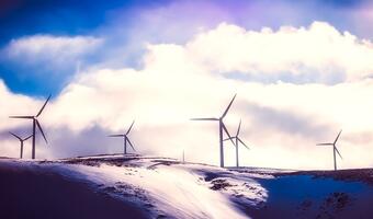 Morska energetyka wiatrowa – jak zbudować łańcuch wartości dla polskiego przemysłu