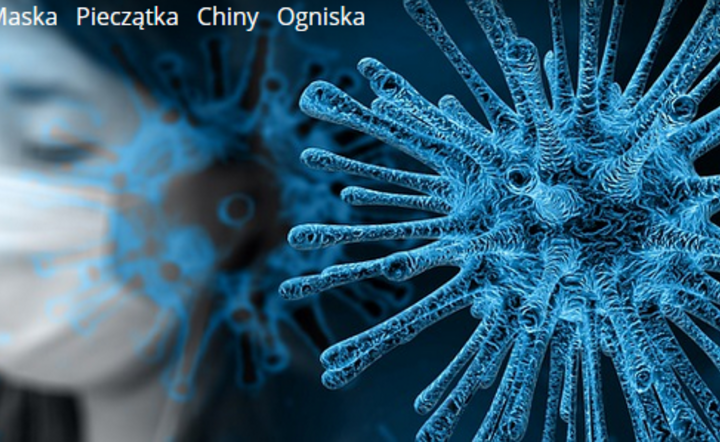 Mija dwa lata od ujawnienia epidemii Sars-Cov-2 / autor: Pixabay