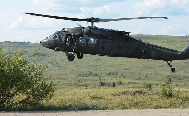 Black Hawk / autor: fot. Pixabay