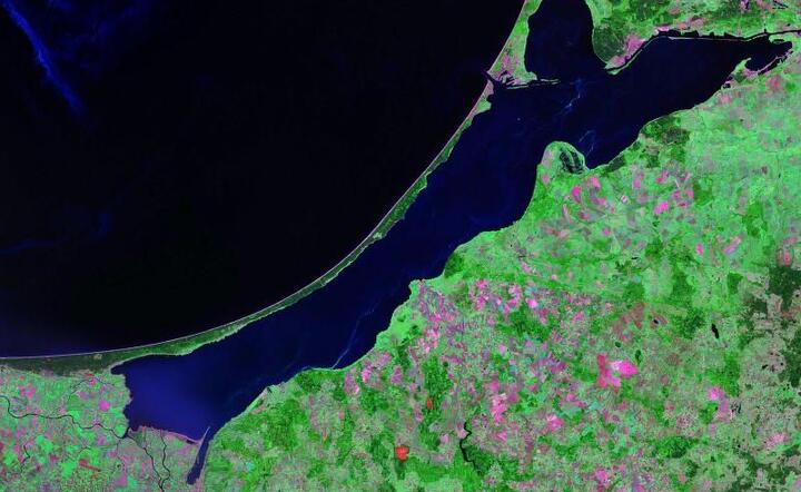 fot. Wikimedia Commons