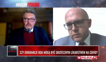 Natkański: gwarancje i programy BGK zostaną przedłużone