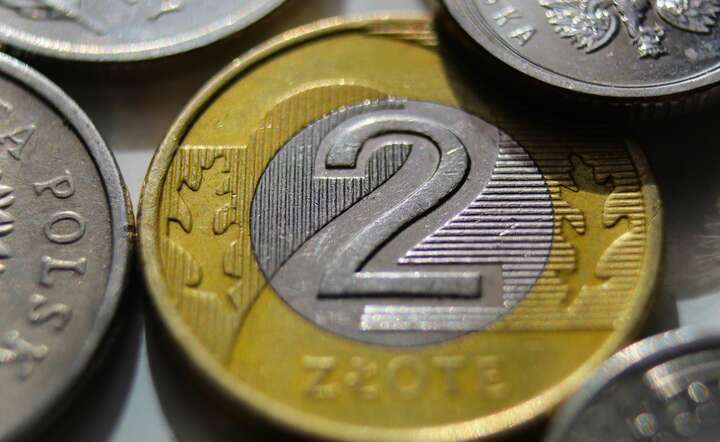 Złoty lekko umacnia się wobec euro i wyraźniej wobec dolara / autor: Pixabay