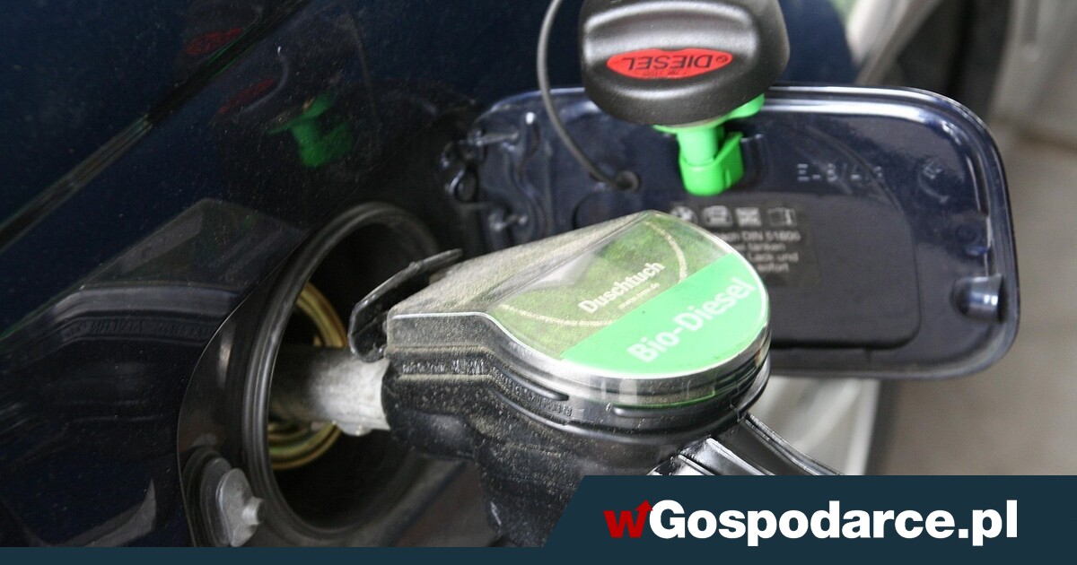 Diesel wciąż ponad 8 zł za litr