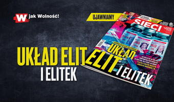 W tygodniku „Sieci”: Układ elit i elitek
