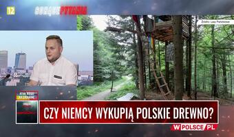 Rzecznik LP: Greenpeace to pseudoekolodzy i lobbyści