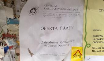 Kosiniak-Kamysz zamierza sprawdzić, jak działają urzędy pracy