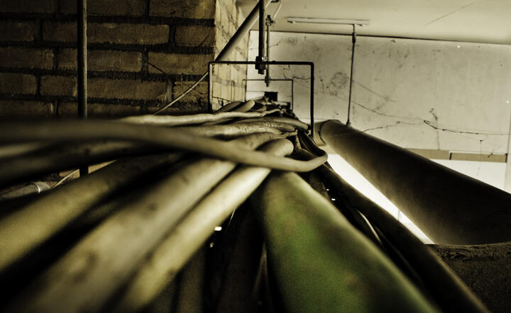 fot. www.freeimages.com