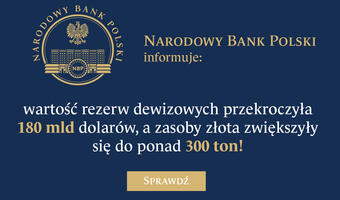 NBP zarządza rezerwami dewizowymi, dbając o maksymalizowanie ich zyskowności