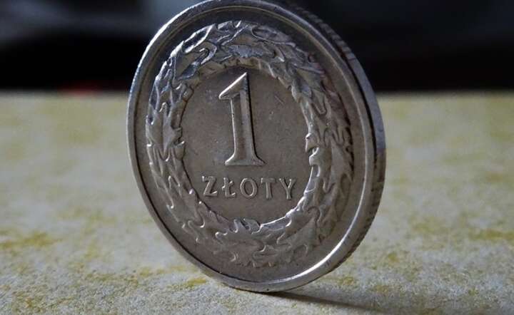 Złoty umacnia się w końcu w relacji do głównych walut / autor: Pixabay