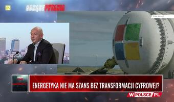 WIDEO. Blackouty mogą wystąpić też z braku cyfryzacji energetyki