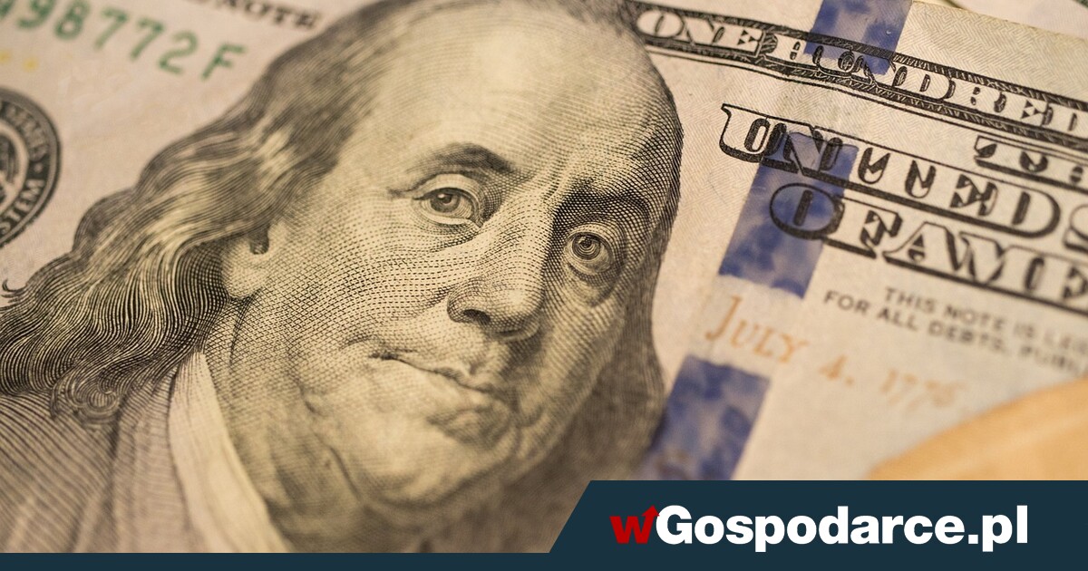Dolar przez cały czas na fali