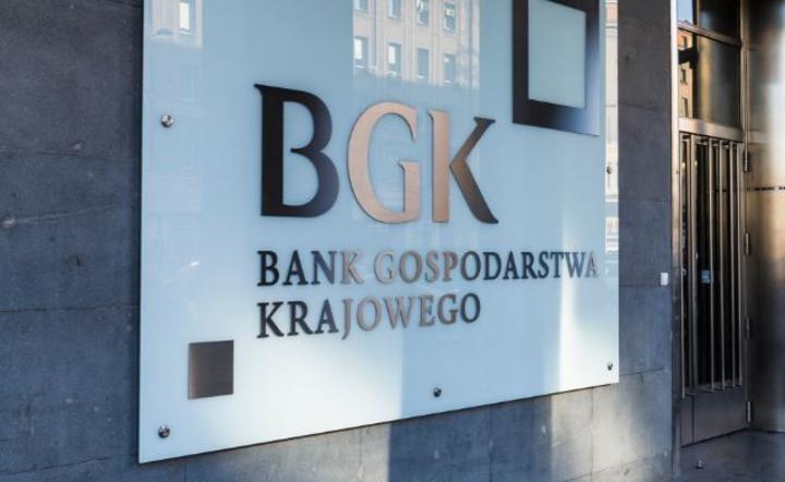 BGK / autor: Fratria
