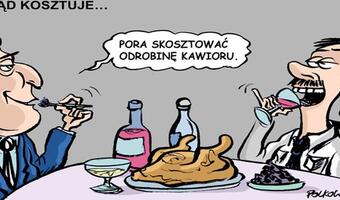 Robią nas w konia: CYRK pełen TAŚM