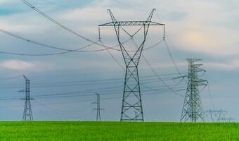 Ceny energii – rządowa taktyka „czekaj i patrz”