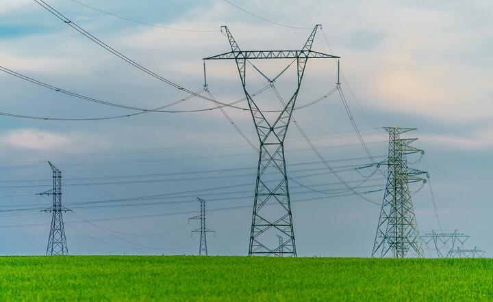Polska ma jedne z niższych cen energii w Europie - przekonuje minister klimatu i środowiska / autor: Fratria / AS 