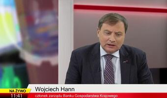 Hann: Tam gdzie bank komercyjny nie może, BGK wesprze