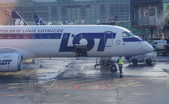 Samolot LOTu / autor: Fratria