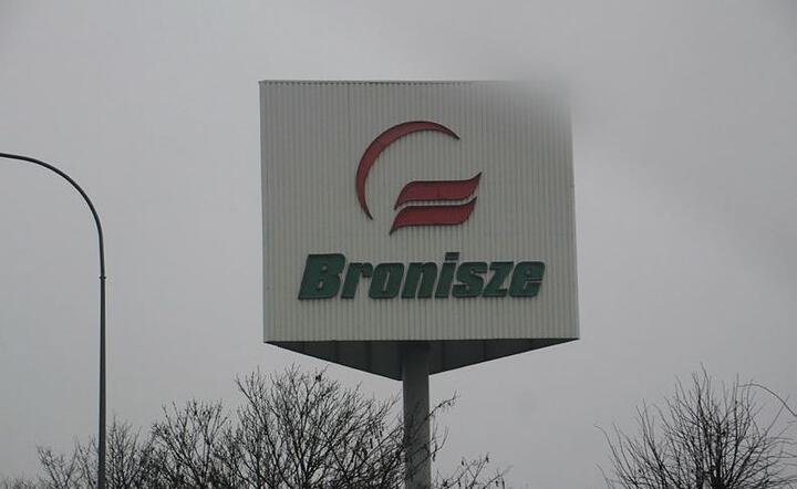 Bronisze / autor: Fratria