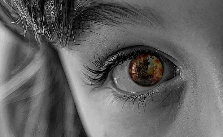 Pixabay / autor: fot. Pixabay