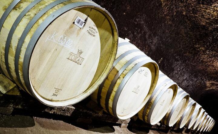 tokaj / autor: pixabay