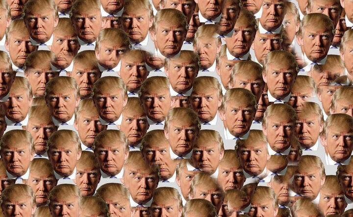 Donald Trump rozmawia o zagrożeniach irackich  / autor: Pixabay