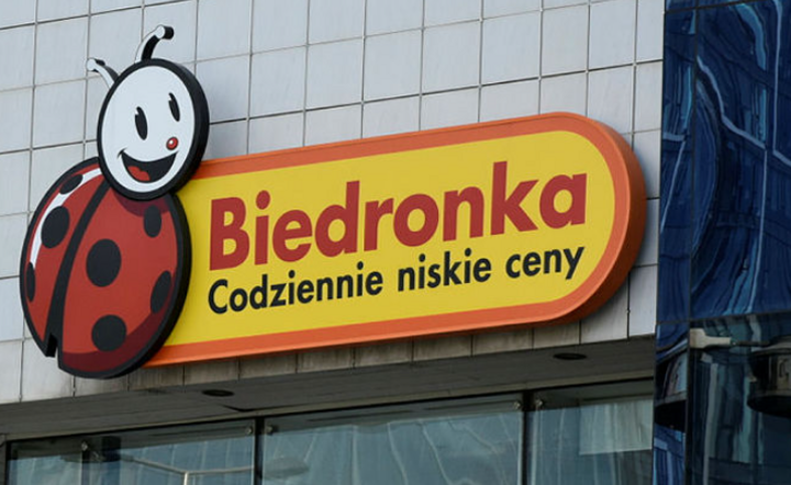 Biedronka / autor: Fratria