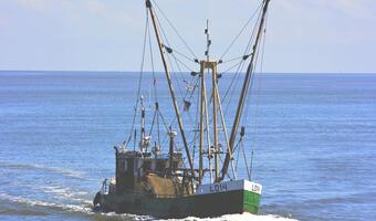 Lampedusa pełna migrantów - „to biznes przemytu ludzi"