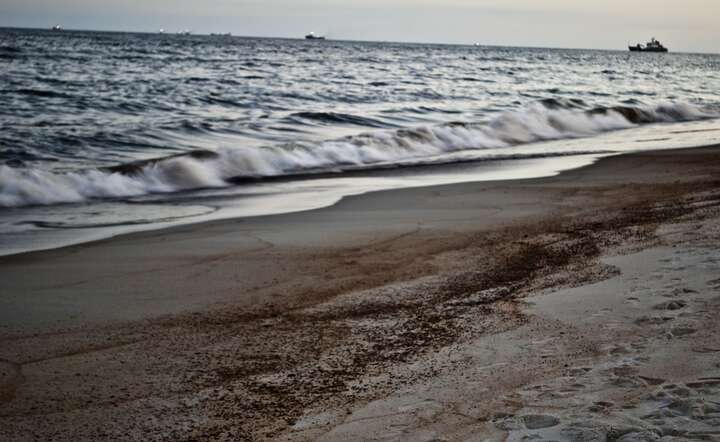 JAKI TYTUL  Wyciek ropy naftowej u wybrzeży Zjednoczonych Emiratów Arabskich. Zamknięto plaże / autor: Pixabay