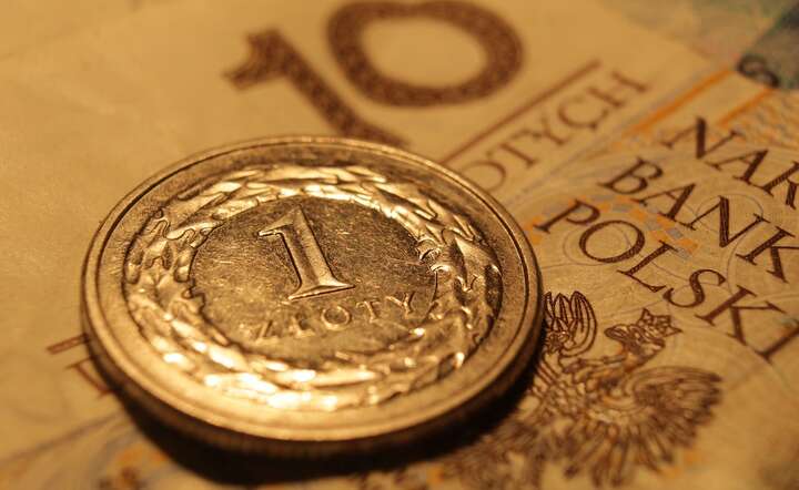Złoty stabilizuje się zerkając na sytuację na światowych rynkach / autor: Pixabay