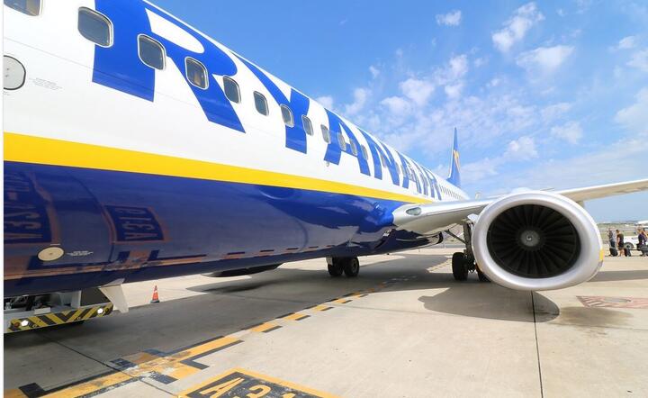 Boeingi 737 Max trafią najprawdopodobniej latem 2020 roku do floty irlandzkich linii / autor: Pixabay