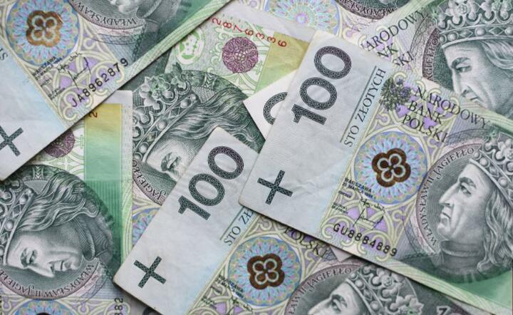 Deficyt wyniesie między 10 a 14 mld zł / autor: Fratria