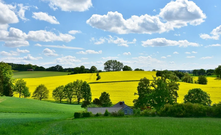 Płatności dla rolników  w UE będą ustalane po nowemu  / autor: Pixabay