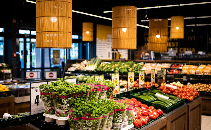 Netto / autor: mat. prasowe