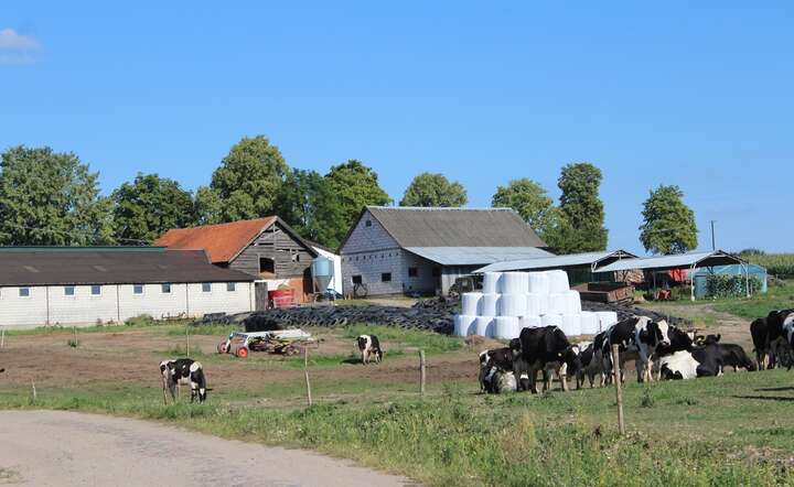 Coraz częściej sąsiedzi skarżą producentów rolnych, pozywając ich za hałas czy odór. Sprawy kończą się nawet w sądzie / autor: Fratria / MK
