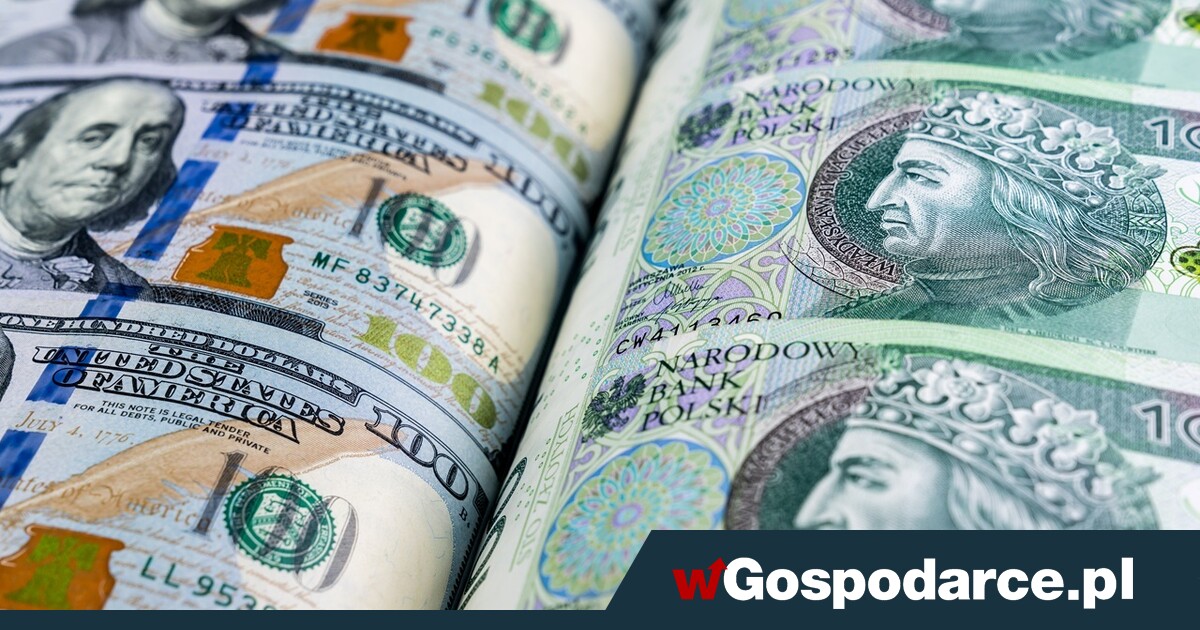 Złoty wyraźnie zyskuje